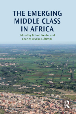 Mthuli Ncube (Ed) - The Emerging Middle Class in Africa