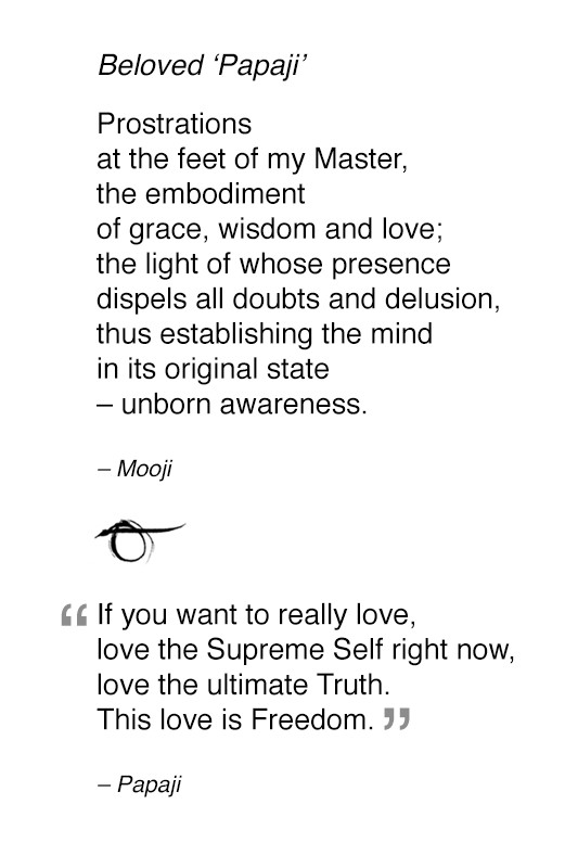 Contents Foreword Before I Am is a selection of dialogues between Mooji - photo 6