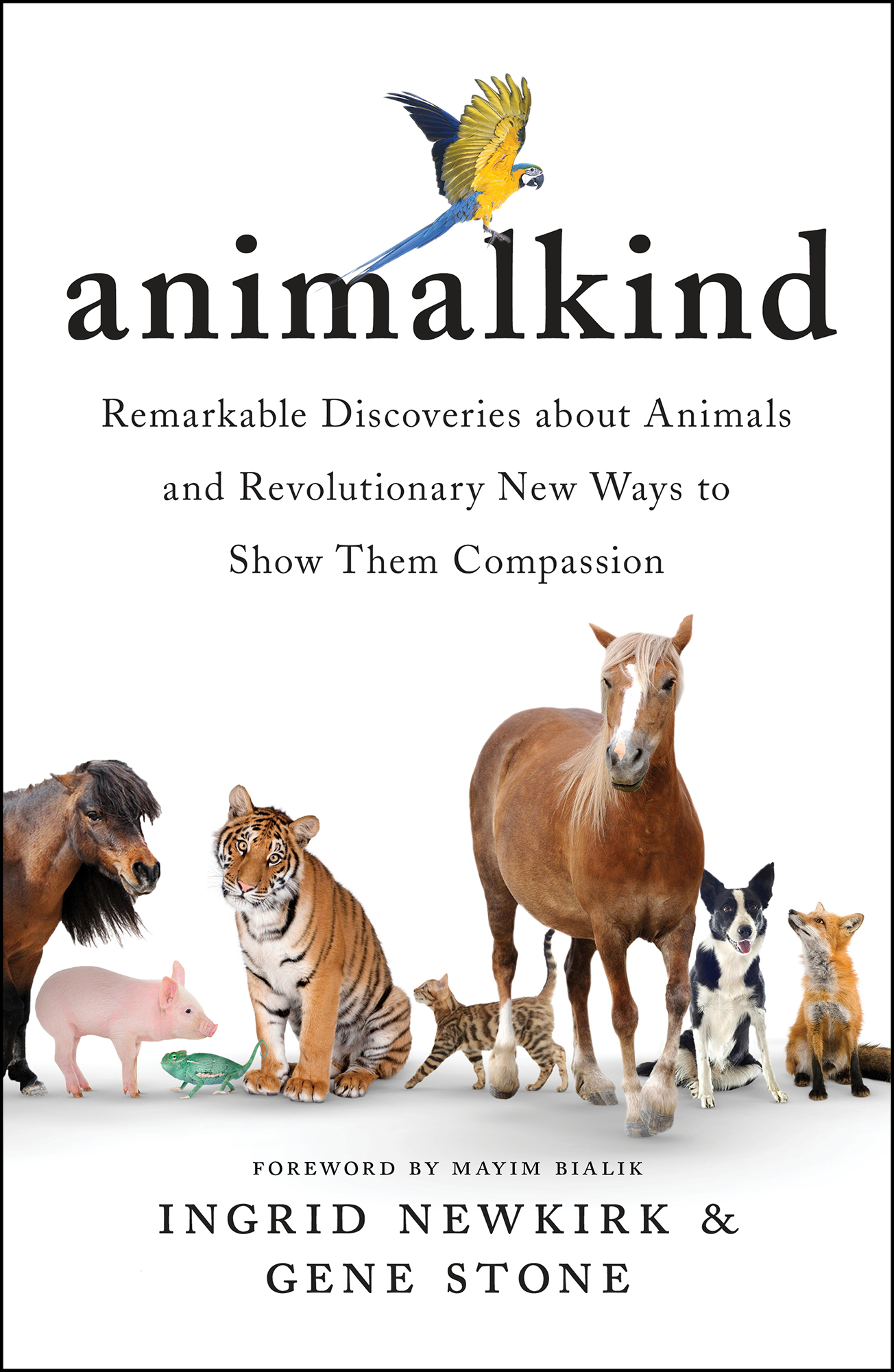 Praise for Animalkind This is the book to buy read and give to others so - photo 1