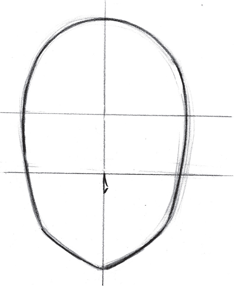 Start with an oval head shape Place a vertical guideline marking the center of - photo 13