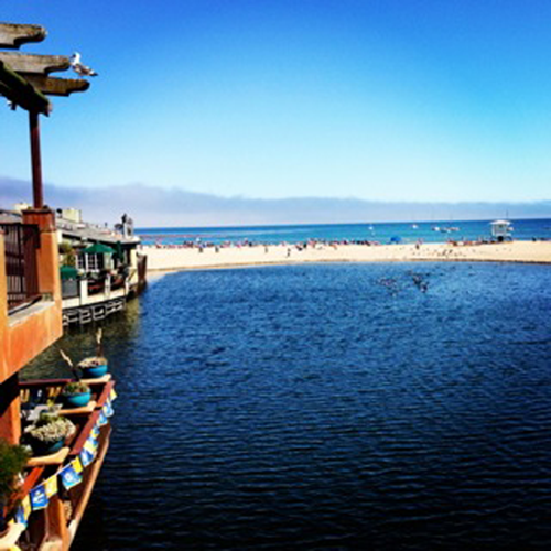 The Pacific coast in Santa Cruz California is a dining and beach lovers - photo 5