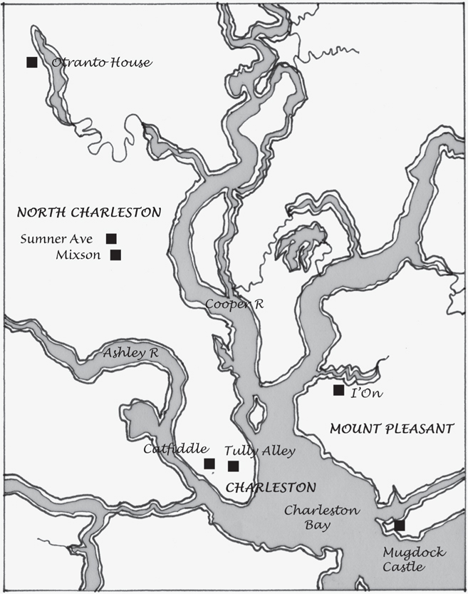 Charleston and its environs Introduction C ities endure Nine out of ten - photo 2