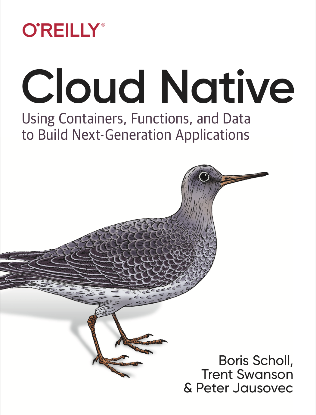 Cloud Native by Boris Scholl Trent Swanson and Peter Jausovec Copyright - photo 1