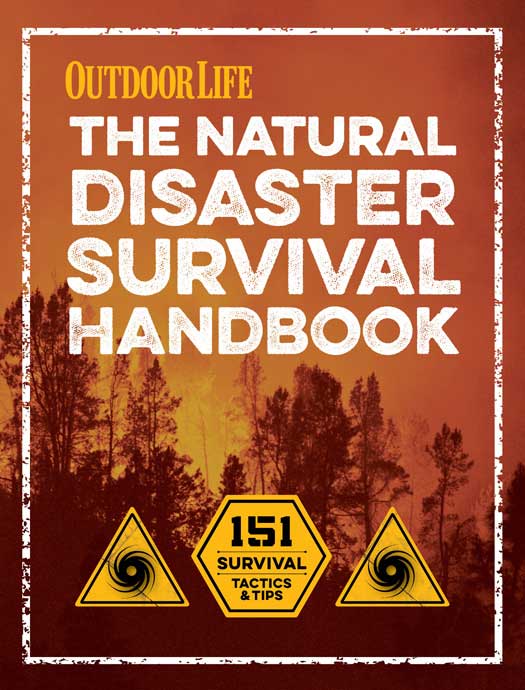 The Natural Disaster Survival Handbook 151 Survival Tactics and Tips - image 1