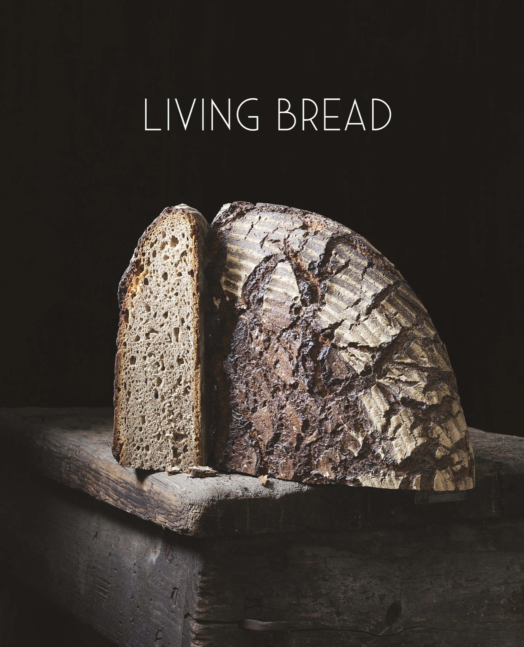 Living Bread Tradition and Innovation in Artisan Bread Making - photo 2