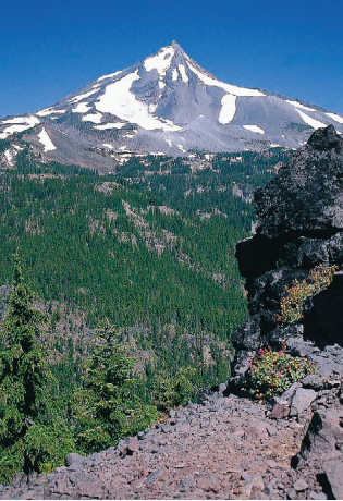 Mount Jefferson from Bear Butte Viewpoint Hike 44 Carefully selected from - photo 12