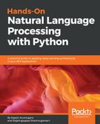 Rajalingappaa Shanmugamani - Hands-on natural language processing with Python : a practical guide to applying deep learning architectures to your NLP applications