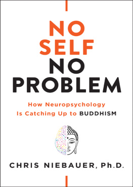 Chris Niebauer Ph.D. - No Self, No Problem