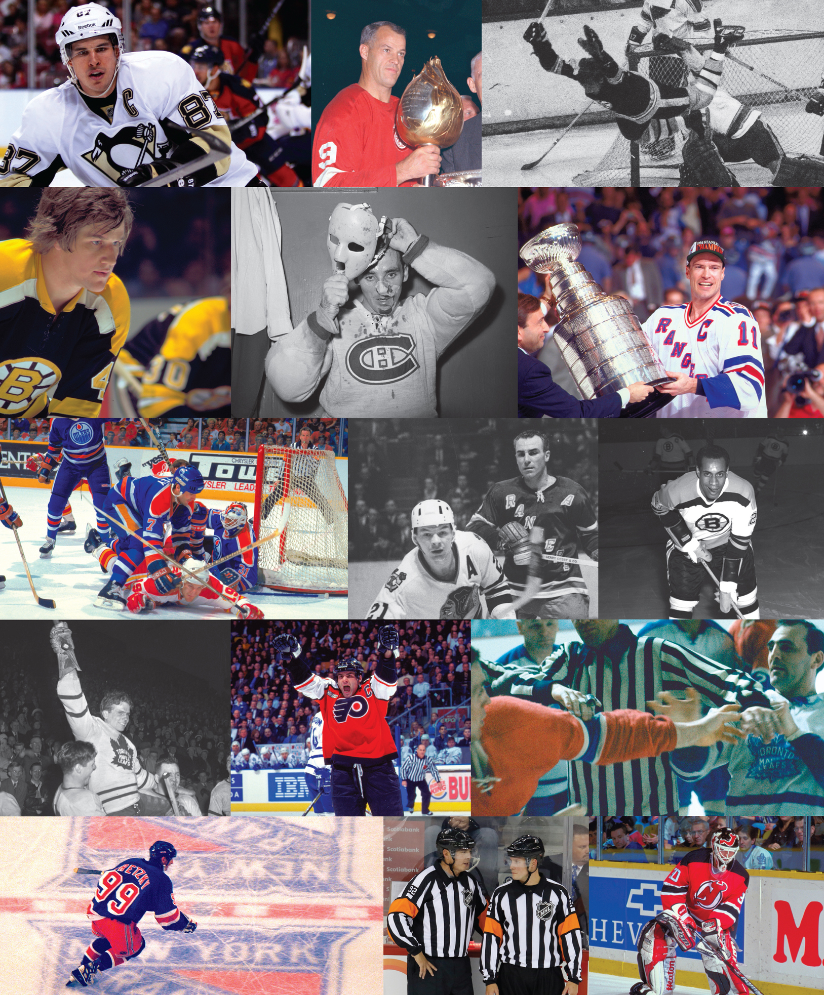 INTRODUCTION A century of the National Hockey League is a lot of hockey A - photo 8