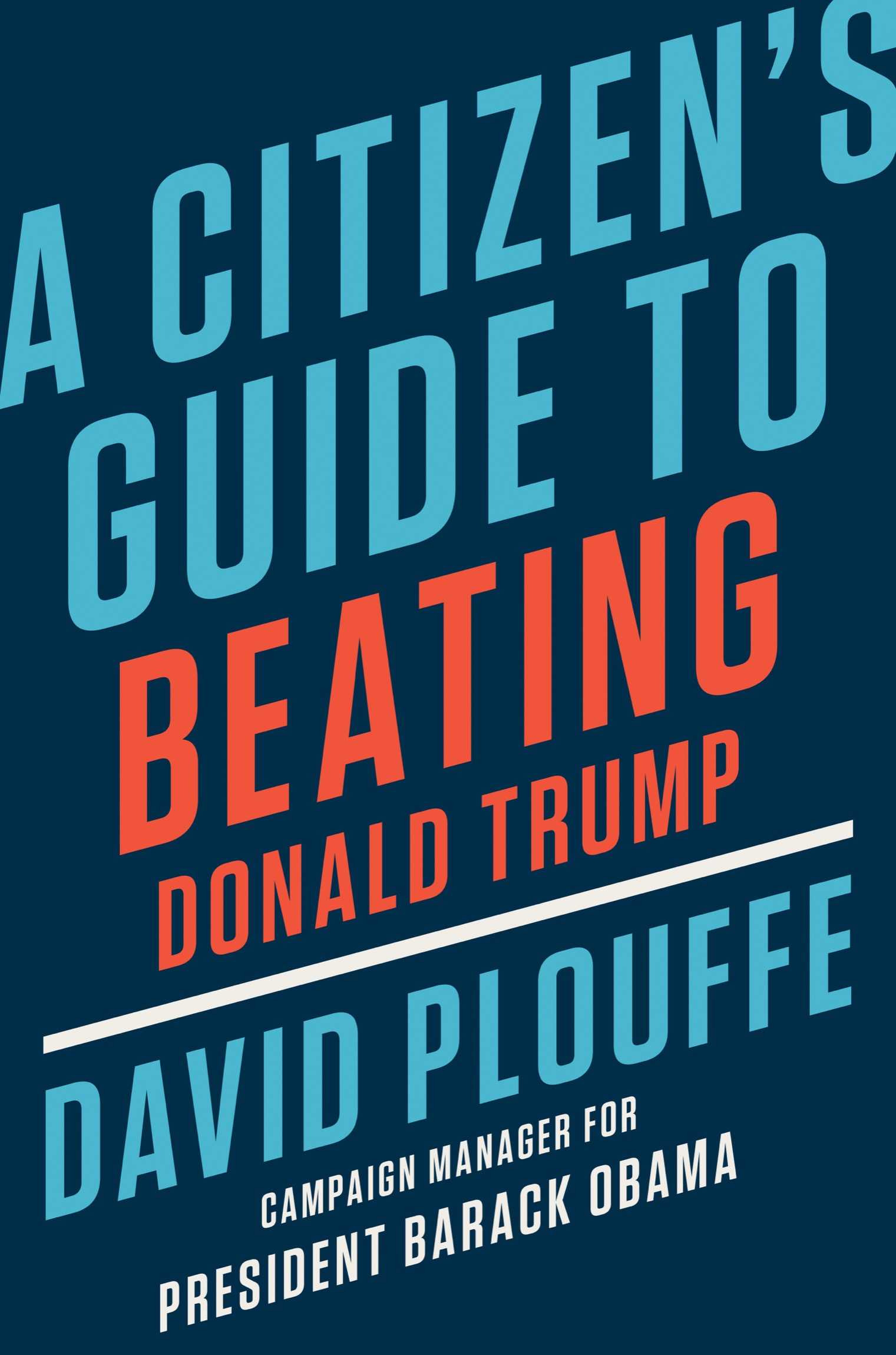 ALSO BY DAVID PLOUFFE The Audacity to Win The Inside Story and Lessons of - photo 1