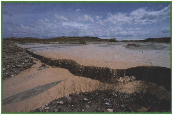 A flash flood in the desert Page 6 When it does rain in the - photo 4