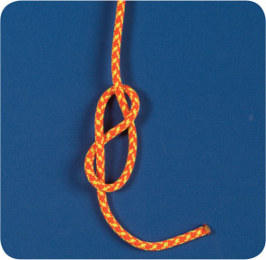 Tie a figure 8 knot see page 10 in the working end of the rope You will need - photo 2