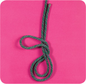 Form a large bight in the rope and twist the bight into a loop as if starting a - photo 7