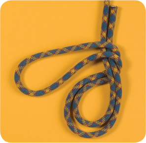 Form a large bight in the rope and twist the bight into a loop as if starting a - photo 12