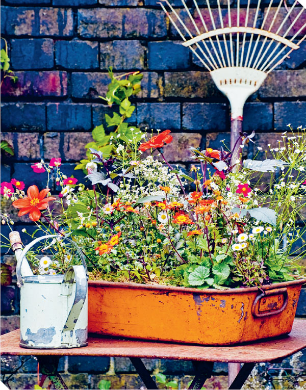 Small Summer Gardens 35 bright and beautiful gardening projects to bring color and scent to your garden - image 3