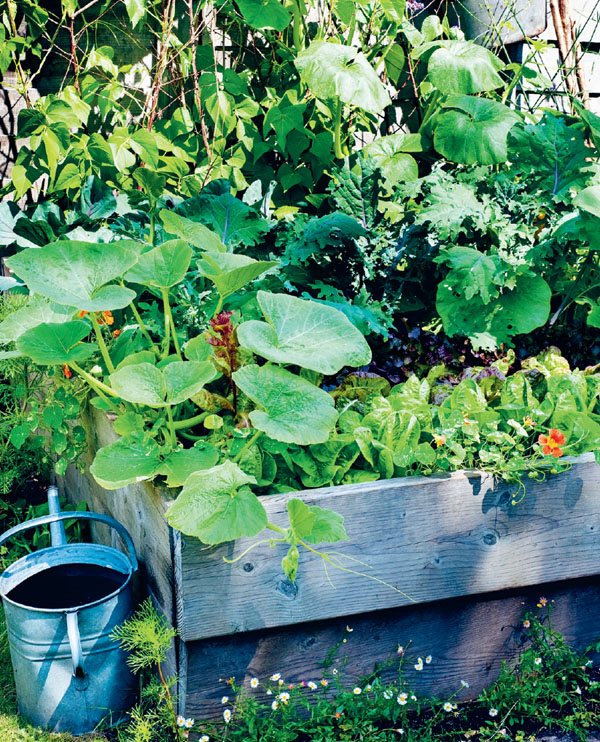 I always think gardening is more enjoyable when you just have a go rather than - photo 8