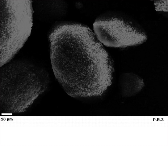 Figure 12 Scanning electron micrograph of pigment Red 3 In the coatings - photo 5