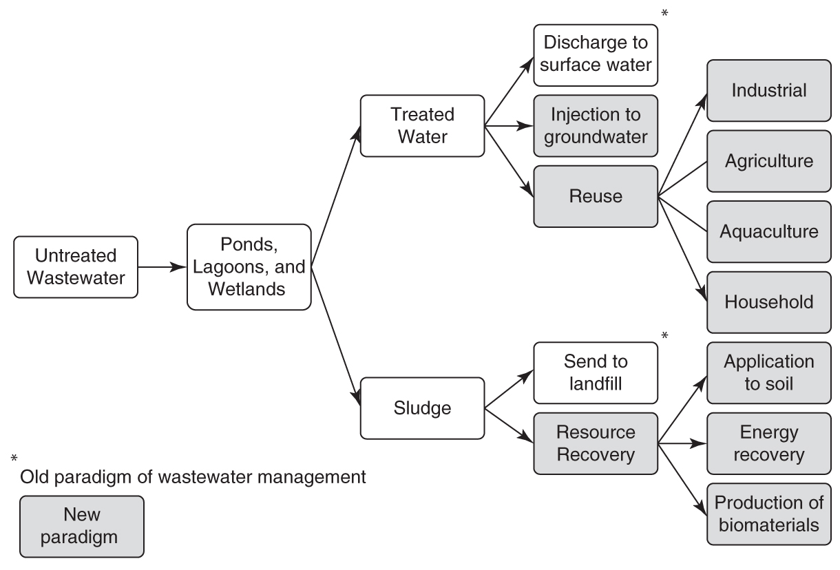 Potential end uses for wastewater and associated sludge The use of natural - photo 3