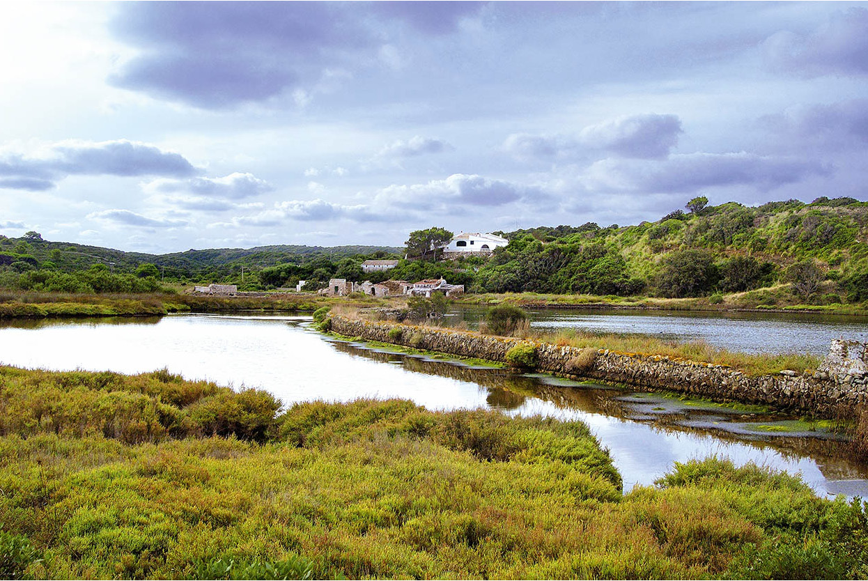 Top Attraction 6 Menorca Tourist Board Parc Natural de SAlbufera A haven for - photo 10