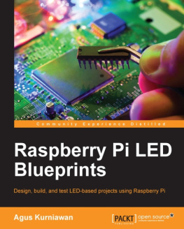 Agus Kurniawan - Raspberry Pi Led Blueprints