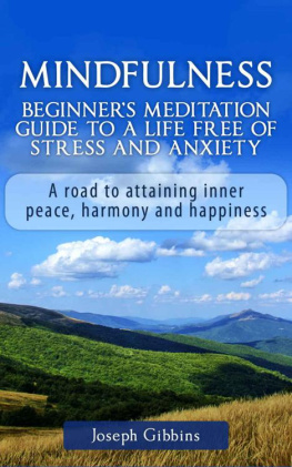 Joseph Gibbins Mindfulness: Beginners Meditation Guide to a Life Free of Stress and Anxiety