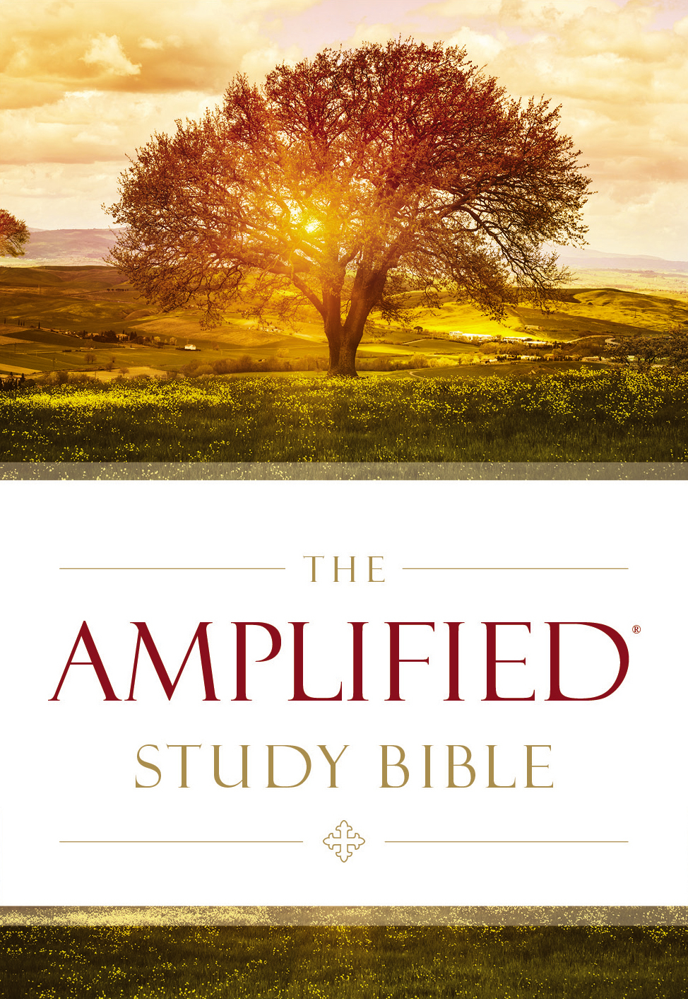 The Amplified Bible Study Bible - image 1