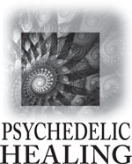 Psychedelic Healing is full of knowledge and wisdom psychologically - photo 1