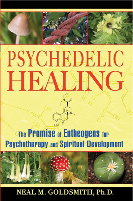 Neal M. Goldsmith - Psychedelic Healing