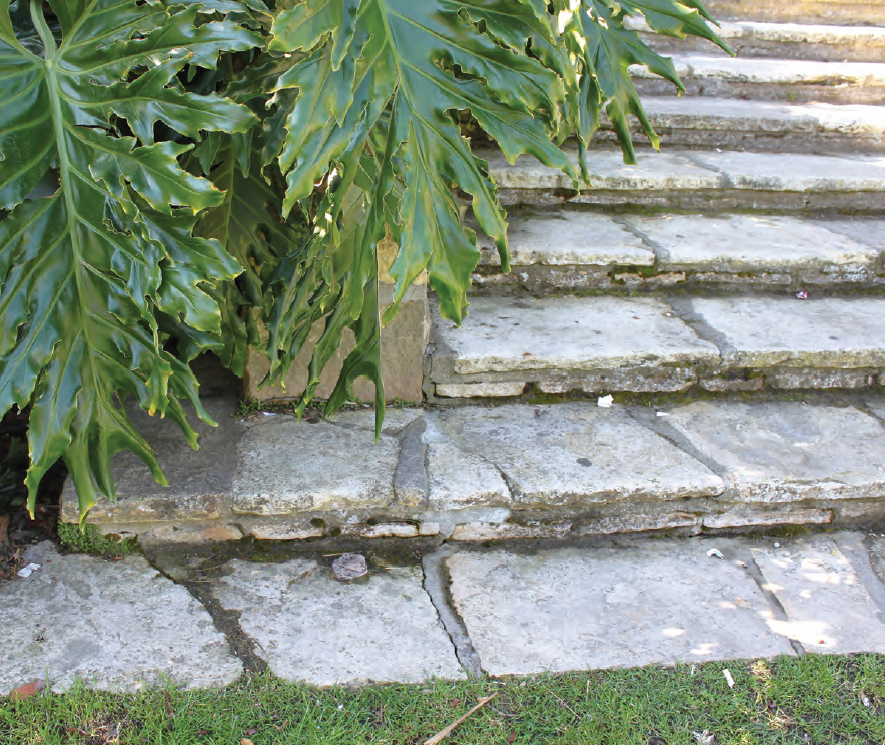 A close-up of the stone steps in the Sunken Garden of the Santa Barbara - photo 8