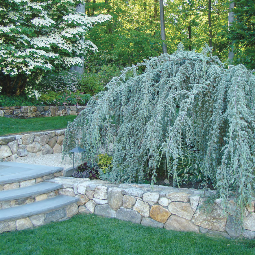 The Spirit of Stone 101 Practical Creative Stonescaping Ideas for Your Garden - photo 2