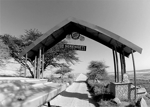 FIGURE 1 The Naabi Entrance Gate Serengeti National Park Photo courtesy of - photo 4