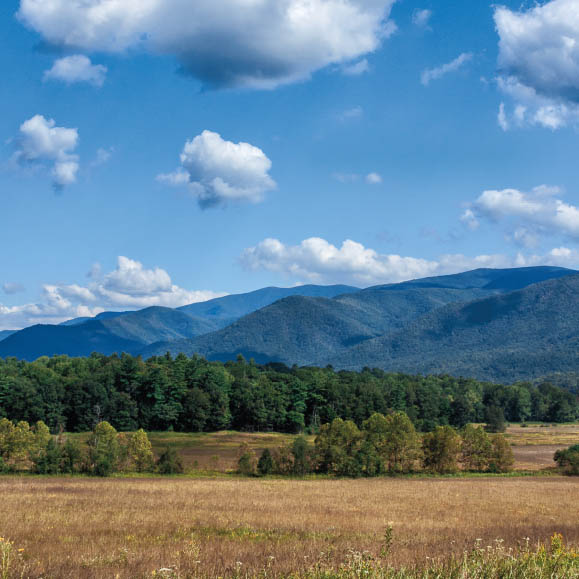 Puffy Clouds Dot the Sky Cades Cove Lee Mandrell and DeeDee - photo 2