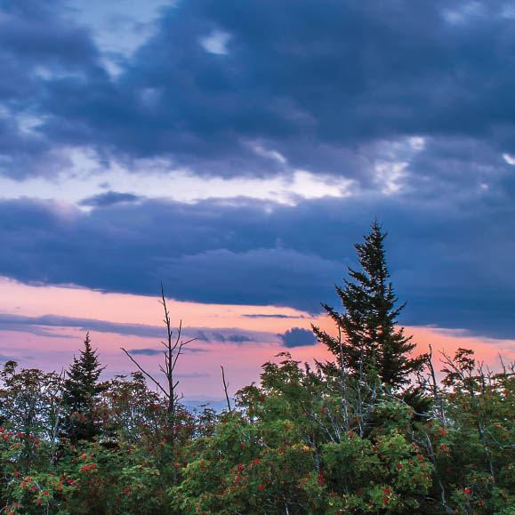 Dusk Clingmans Dome FOREWORD Compared to the American West or even the - photo 6