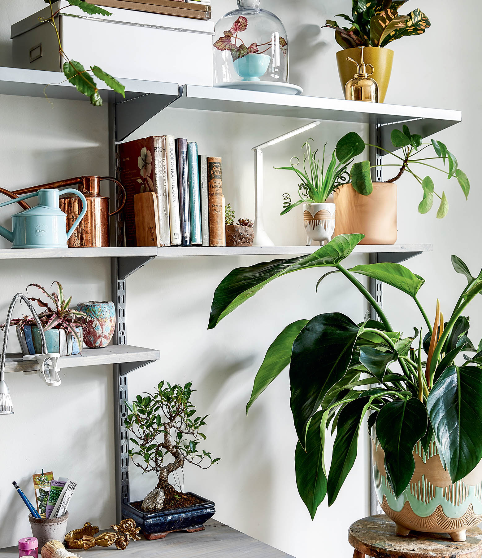 Decorating with Plants What to Choose Ways to Style and How to Make Them Thrive - image 2