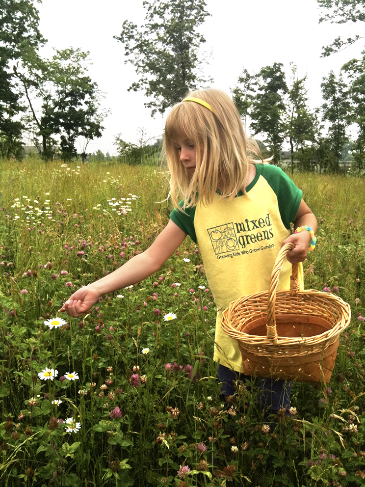 My children have grown up learning about using wild plants for food and herbal - photo 3