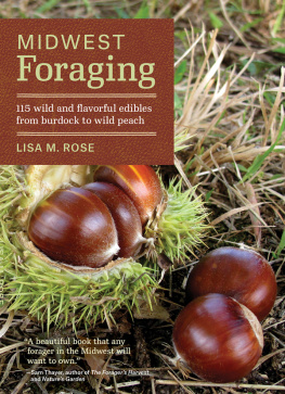 Lisa M. Rose Midwest Foraging: 115 Wild and Flavorful Edibles from Burdock to Wild Peach