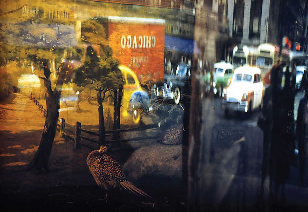 01 Title Reflection 42nd street NY 1952 Photographer Ernst Haas In this - photo 11
