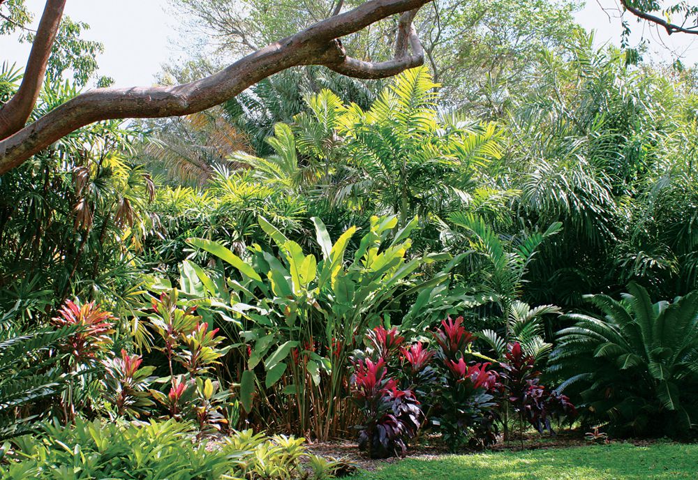 A tropical landscape is a technicolor display of colorful flowers painted - photo 4