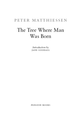 Peter Matthiessen - The Tree Where Man Was Born (Penguin Classics)