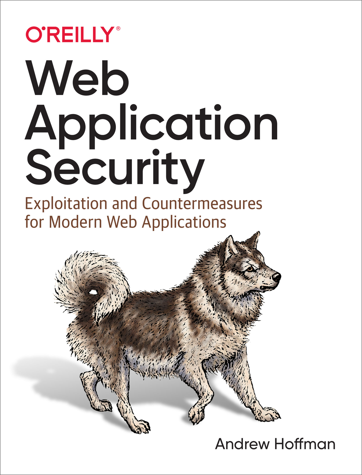 Web Application Security by Andrew Hoffman Copyright 2020 Andrew Hoffman All - photo 1