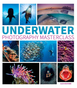 Alex Mustard Underwater Photography Masterclass