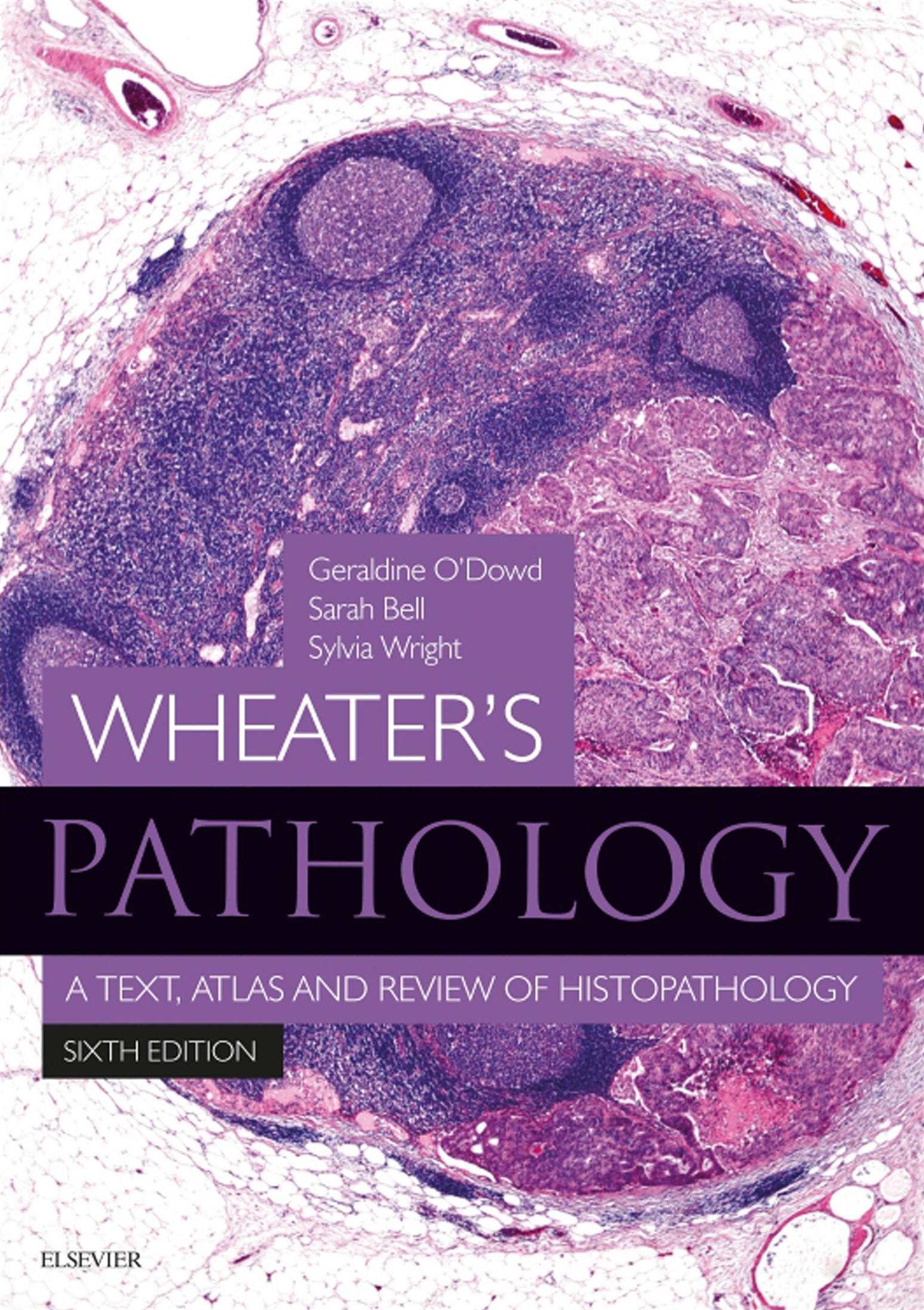 Wheaters Pathology A Text Atlas and Review of Histopathology Sixth Edition - photo 1