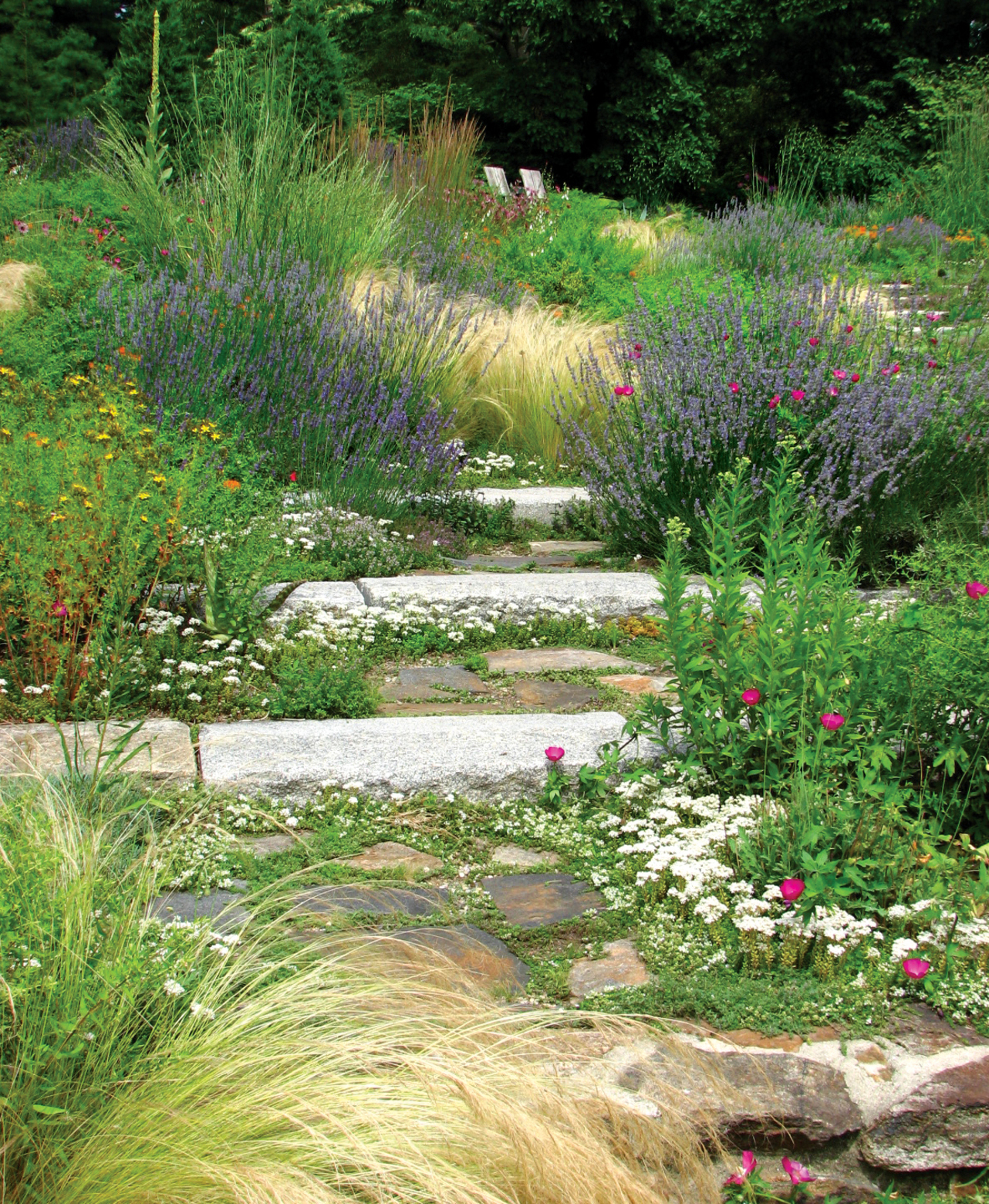 Summer perennials and grasses cascade down a gravelly slope To those who see - photo 6