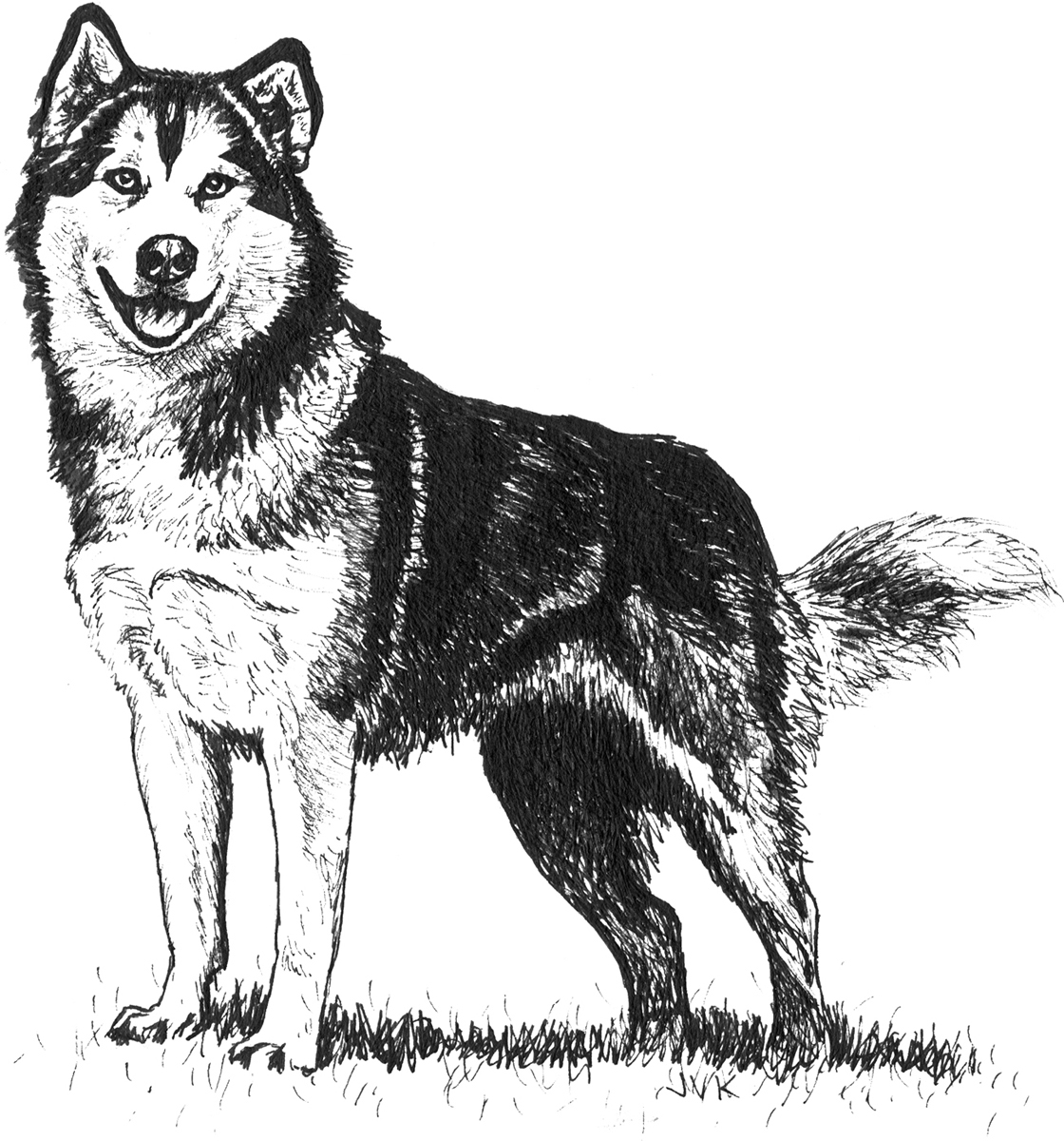 Case history Ice the misunderstood Malamute This is a wolf you are dealing - photo 6