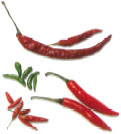 Chilies come in many shapes and sizes Fresh green and red fingerlength chilies - photo 2