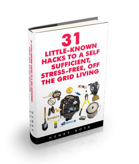 Get free access to your complimentary book 31 Little-Known Hacks To A Self - photo 1