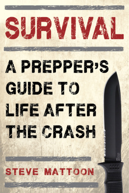 Steve Mattoon - Survival: A Preppers Guide to Life after the Crash