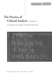 title The Practice of Cultural Analysis Exposing Interdisciplinary - photo 1