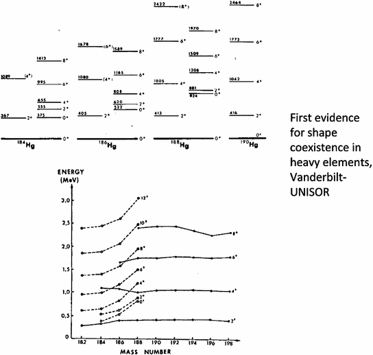 Fig 4 First evidence for shape coexistence in heavy elements - photo 17