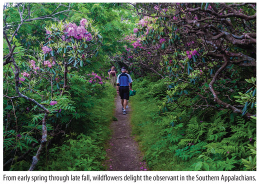 Blue Ridge Parkway Association Promotes travel along the Parkway and provides - photo 10